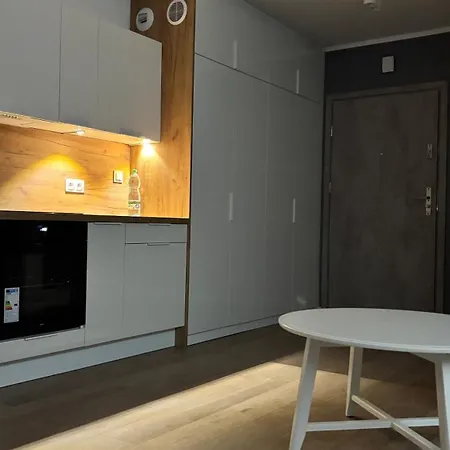 Pogodny 霍伊尼采